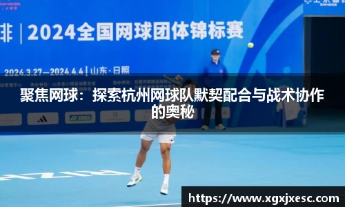 3377体育官网