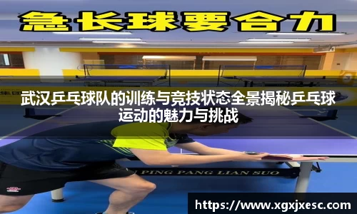 3377体育
