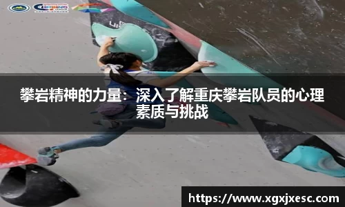 3377体育官网