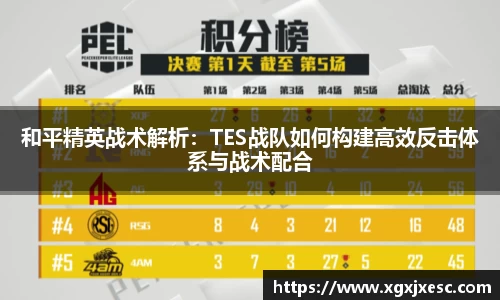 3377体育
