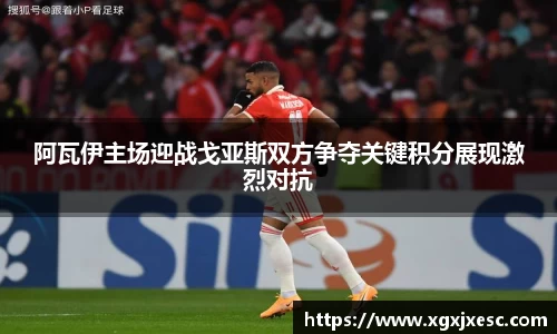 3377体育官网
