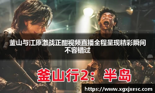 3377体育官网