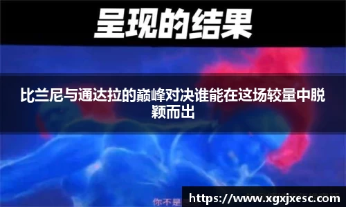 3377体育