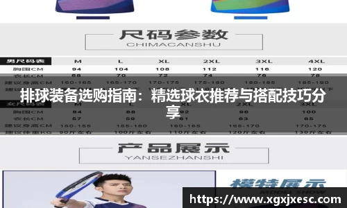 3377体育官网