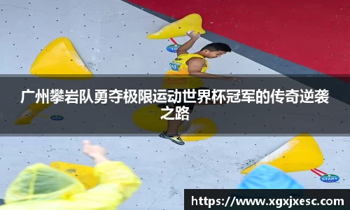 3377体育首页